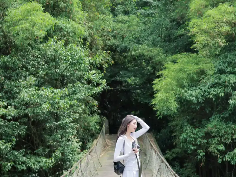 回看核对样本